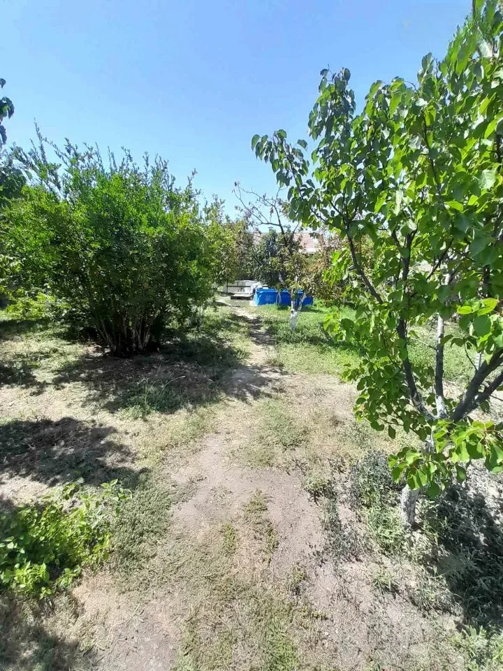 Category Image