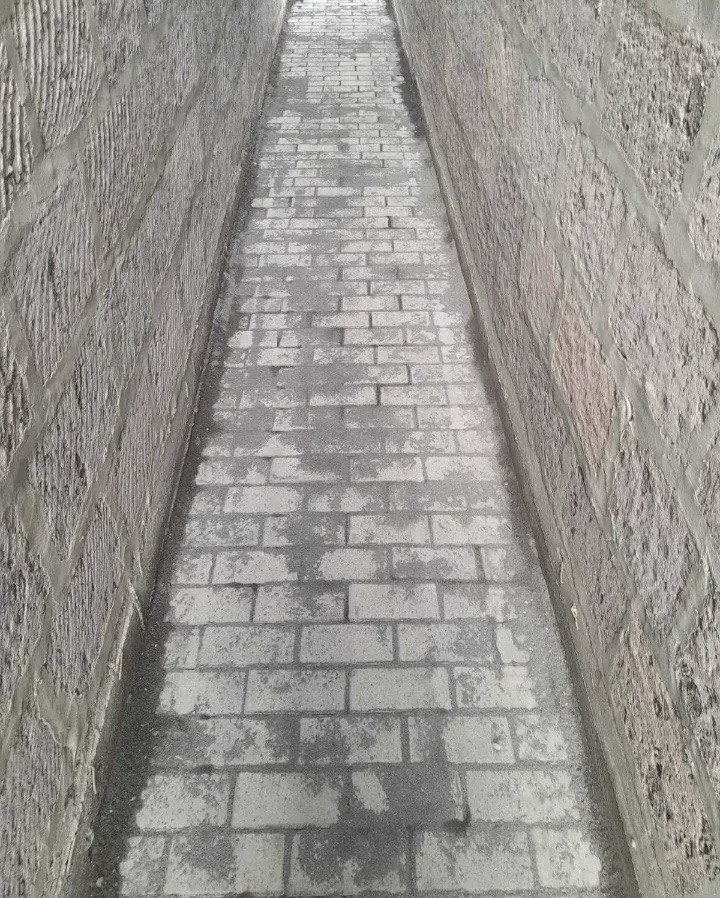 Category Image