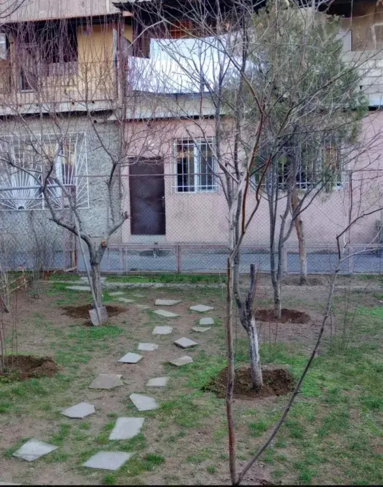 Category Image