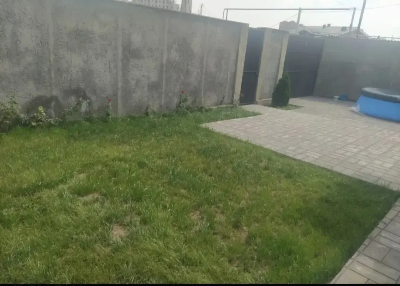 Category Image