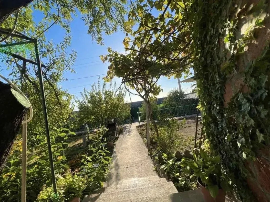 Category Image