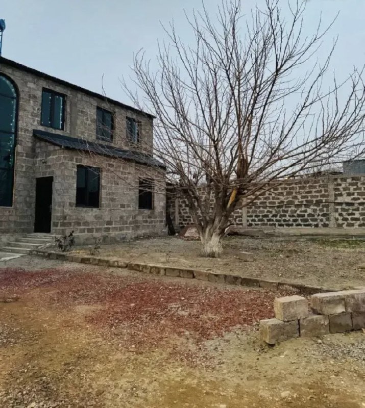 Category Image