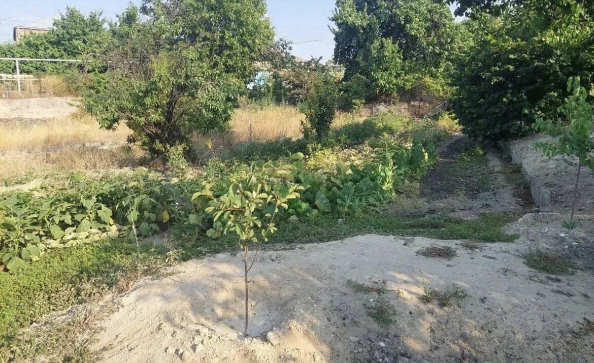 Category Image