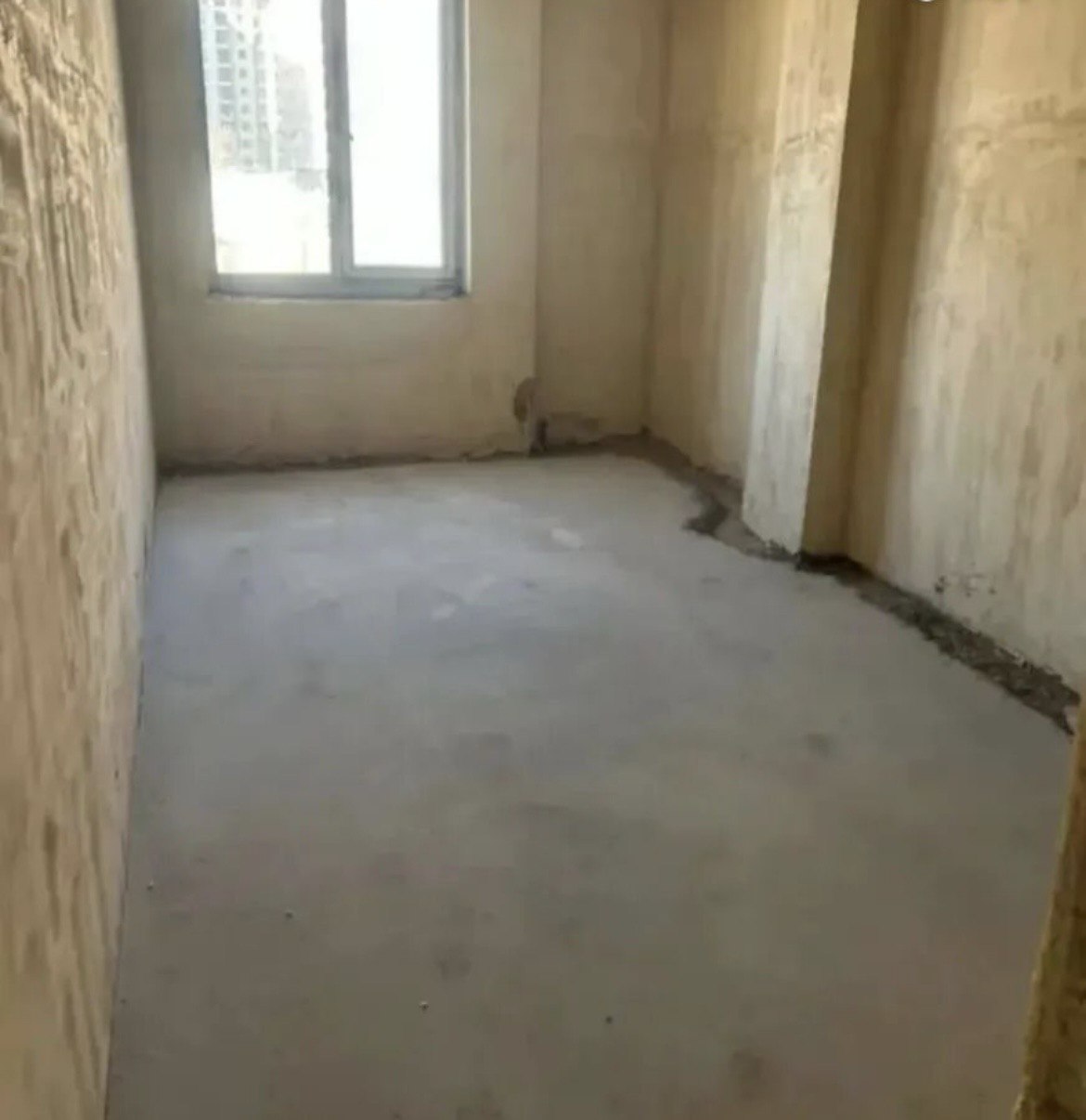 Category Image