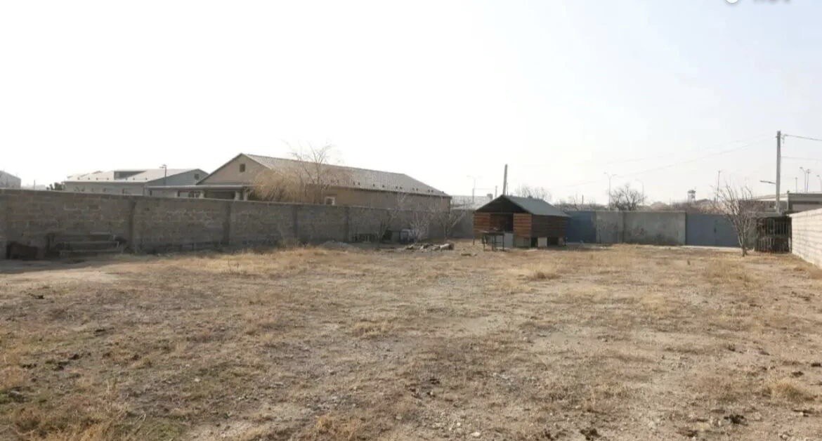 Category Image